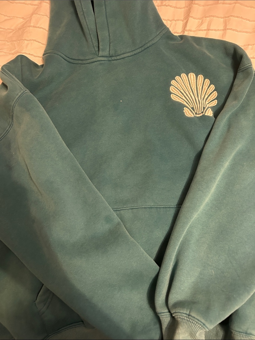 Malibu Skye Embroidered Shell Hoodie in Teal Green